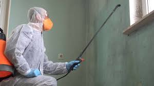 Best Mold Odor Removal Services  in Forks, WA