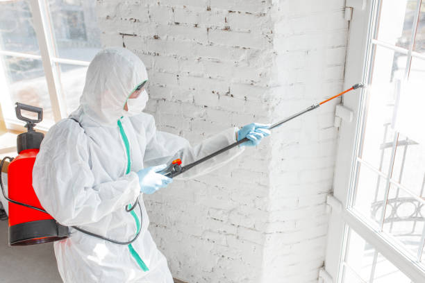 Best Industrial Mold Remediation  in Forks, WA