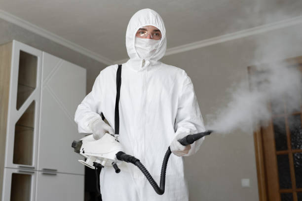 Best Mold Remediation for Healthcare Facilities  in Forks, WA