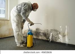 Best Mold Remediation for Healthcare Facilities  in Forks, WA